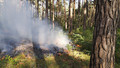 Waldbrand im Kiefernwald